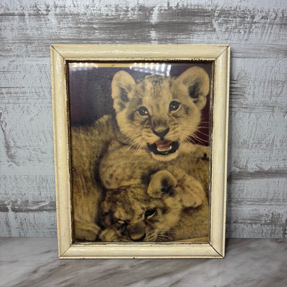 Vintage Framed Lion Cubs Wildlife Print